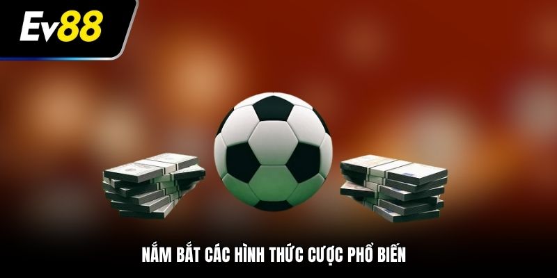 Nắm bắt hình thức cược phổ biến