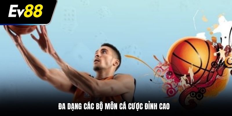 Đa dạng bộ môn cá cược đỉnh cao